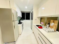 The Regency At Tiong Bahru (D3), Condominium #510004041